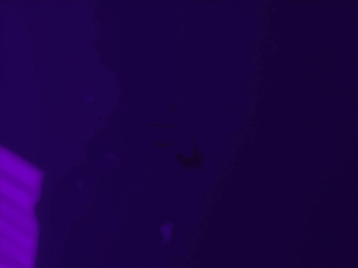 Contact Faculty: Midnight