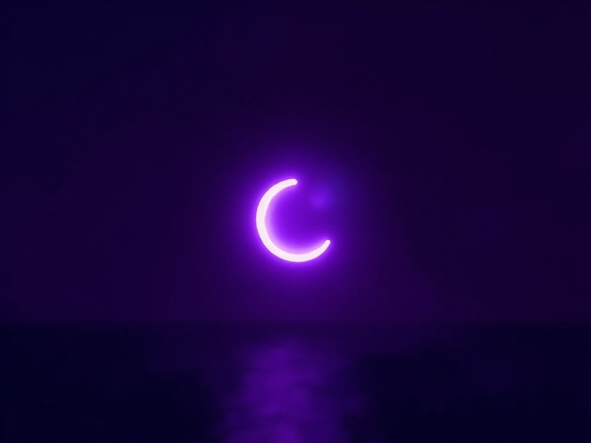 Contact Faculty: Midnight continued