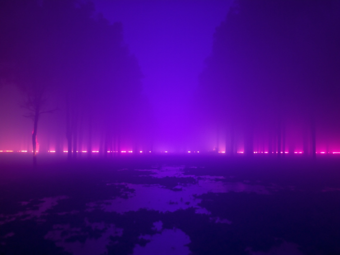 Course Hub: Midnight Fantasy Cricket